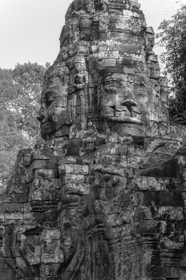 ta prohm-9.jpg